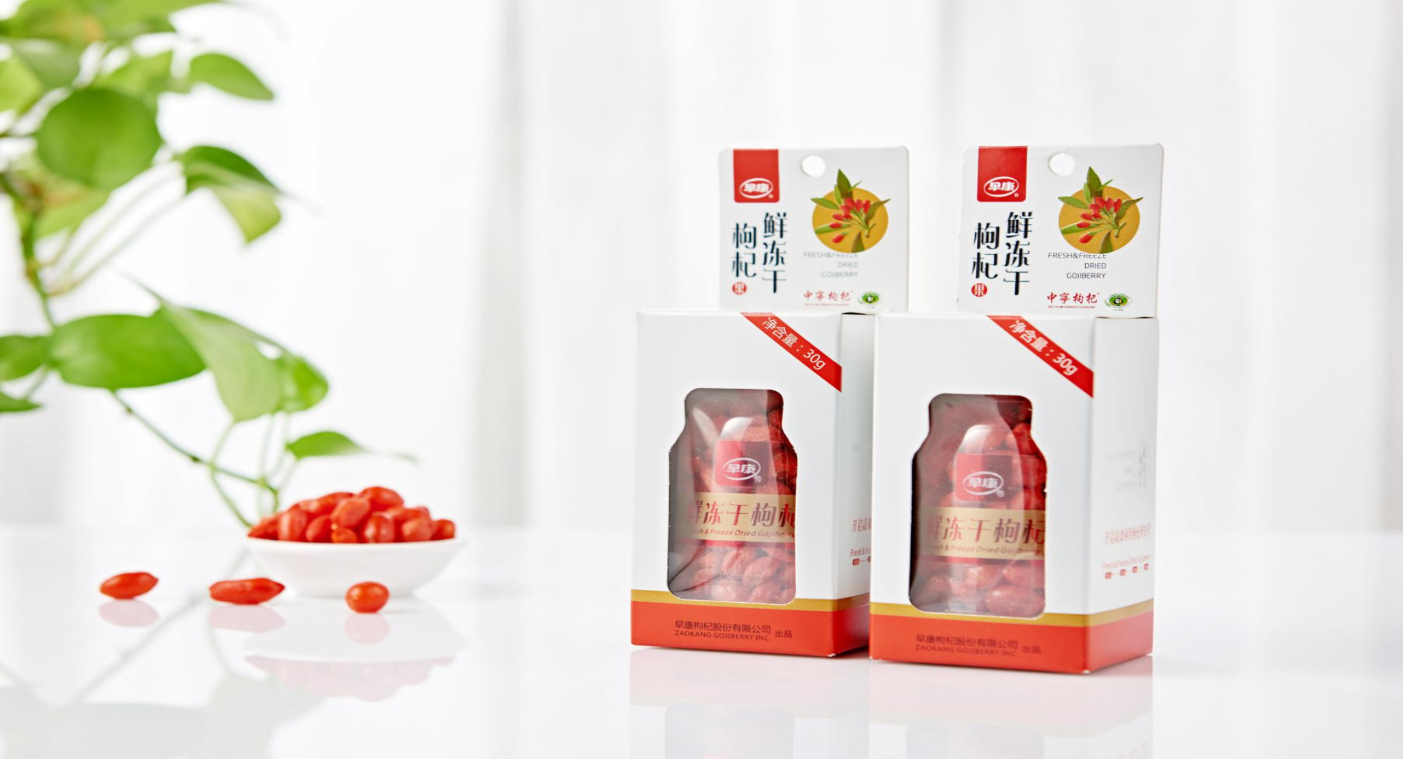 早康枸杞股份有限公司5