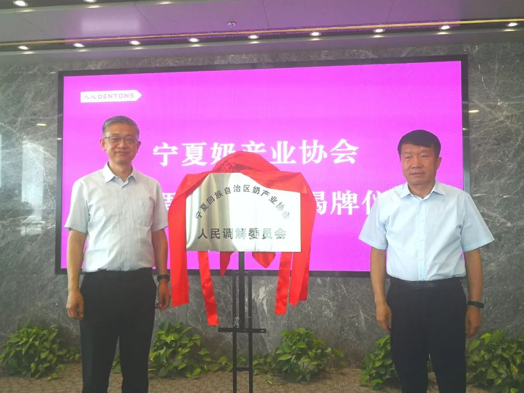 奶3.1